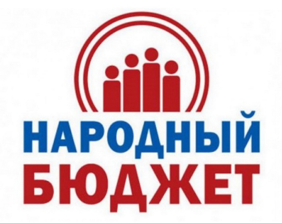 В НОВГОРОДСКОЙ ОБЛАСТИ РЕАЛИЗУЕТСЯ ПРАКТИКА ИНИЦИАТИВНОГО БЮДЖЕТИРОВАНИЯ «НАРОДНЫЙ БЮДЖЕТ».