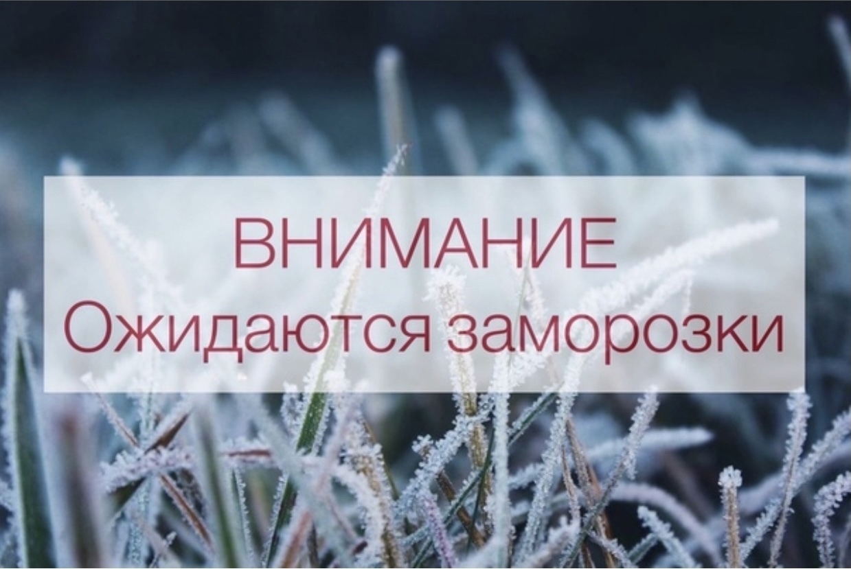 ПРЕДУПРЕЖДЕНИЕ ОБ ОПАСНОМ ПОГОДНОМ ЯВЛЕНИИ от 01.06.2025 г.