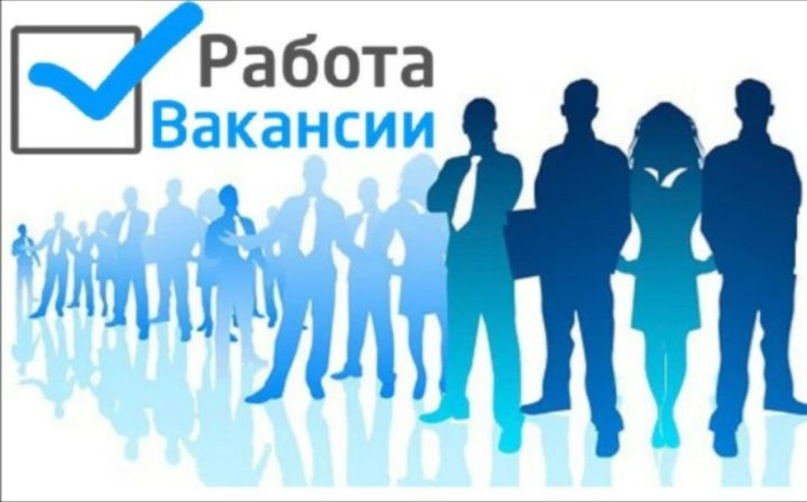 В АДМИНИСТРАЦИЮ  ВАЛДАЙСКОГО МУНИЦИПАЛЬНОГО РАЙОНА ТРЕБУЮТСЯ.