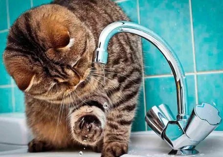 ⚡ОГРАНИЧЕНИЕ ВОДОСНАБЖЕНИЯ!.