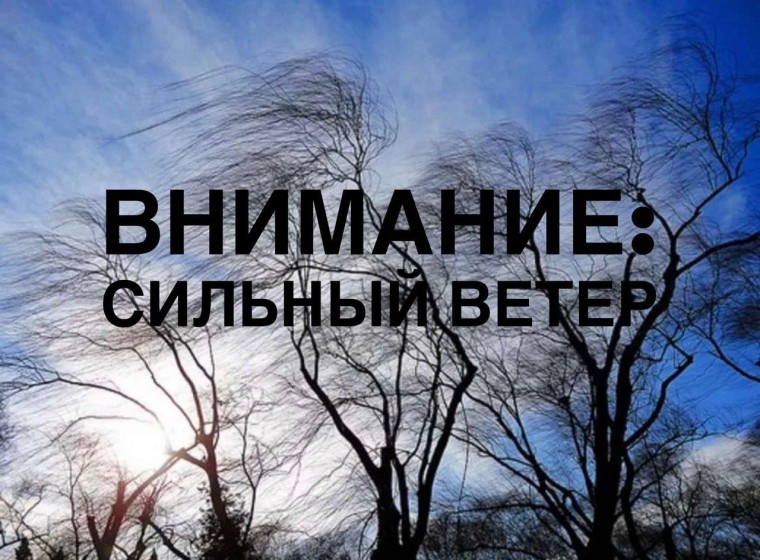 ПРЕДУПРЕЖДЕНИЕ О НЕБЛАГОПРИЯТНЫХ ЯВЛЕНИЯХ ПОГОДЫ ОТ 29.12.2024 г.. ПРЕДУПРЕЖДЕНИЕ О НЕБЛАГОПРИЯТНЫХ ЯВЛЕНИЯХ ПОГОДЫ ОТ 29.12.2024 г..