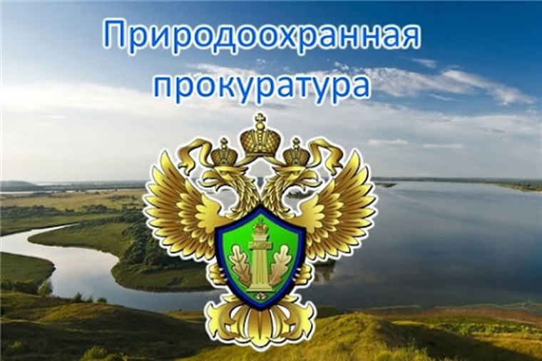 ПРИРОДООХРАННАЯ ПРОКУРАТУРА ПРЕДУПРЕЖДАЕТ!. ПРИРОДООХРАННАЯ ПРОКУРАТУРА ПРЕДУПРЕЖДАЕТ!.