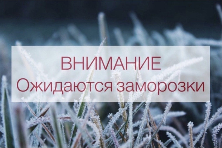 ПРЕДУПРЕЖДЕНИЕ ОБ ОПАСНОМ ПОГОДНОМ ЯВЛЕНИИ от 01.06.2025 г. ПРЕДУПРЕЖДЕНИЕ ОБ ОПАСНОМ ПОГОДНОМ ЯВЛЕНИИ от 01.06.2025 г.